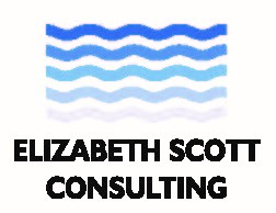 Elizabeth Scott Consulting