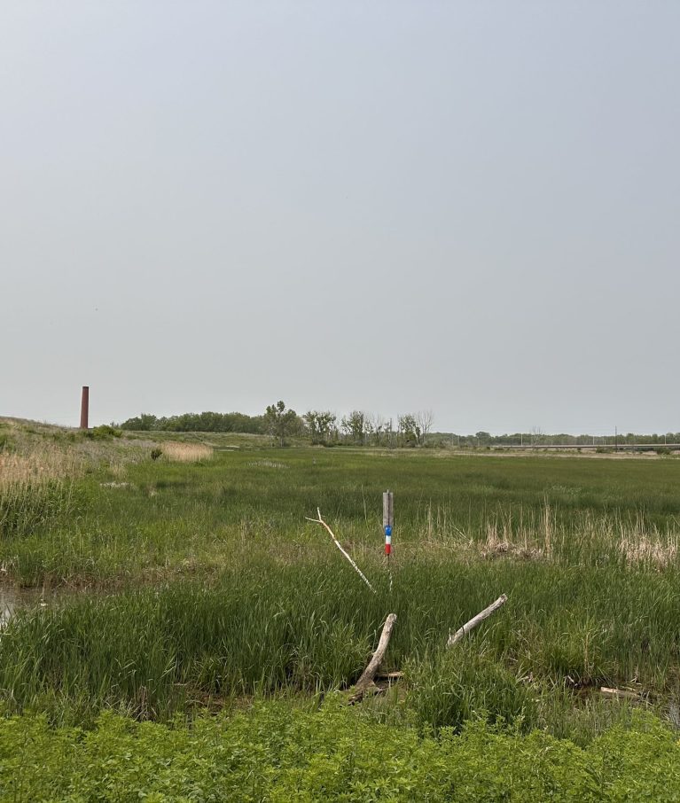NFWF Great Lakes Grant Programs