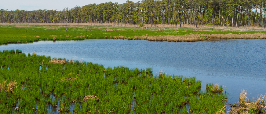 Fostering community-driven solutions to enhance the resiliency of disadvantaged populations and counteract the disproportionate impacts of a changing climate.