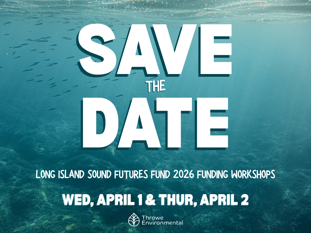 2026 LISFF Workshops Save the Date LinkedIn Post (1)