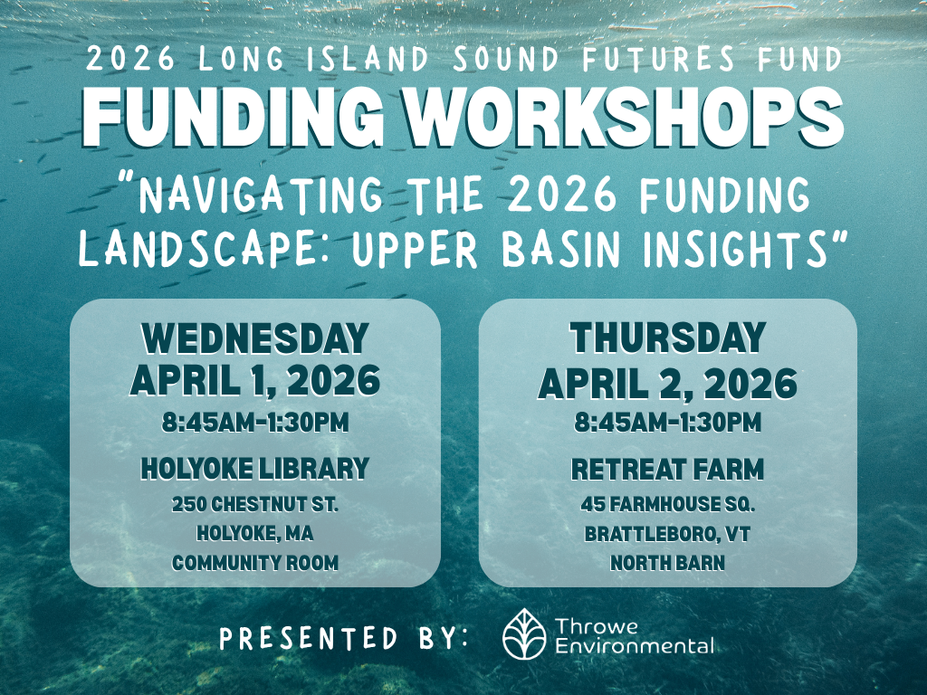 2026 LISFF Workshops Save the Date LinkedIn Post (10)