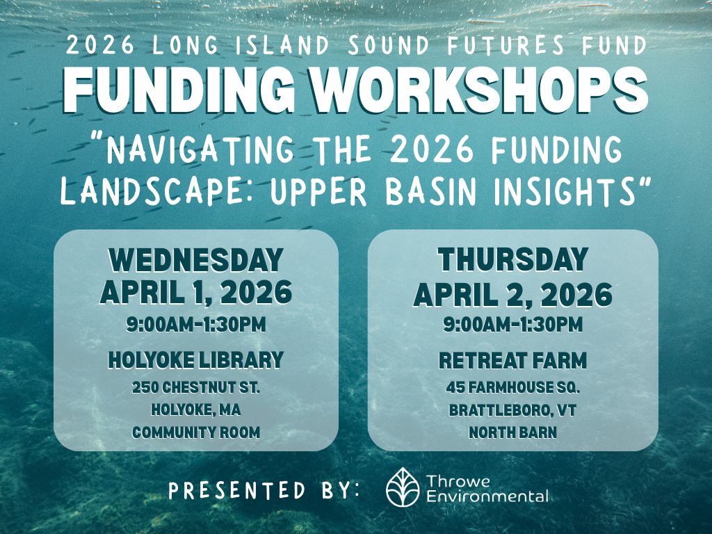 2026 LISFF Workshops Save the Date LinkedIn Post (3)