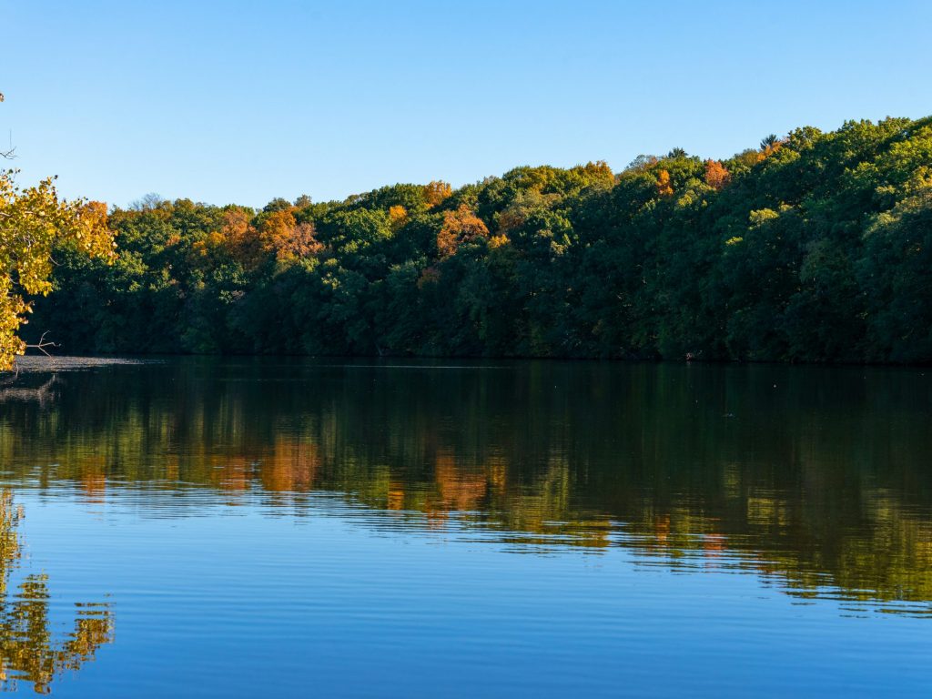 Southeast Michigan SEMI SEMRF GLGP Great Lakes Huron River Unsplash